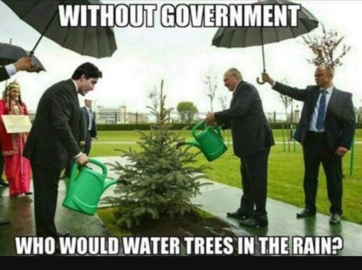 trees.jpg.694f9d63bb8d65d4c7937b58e60fbb01.jpg