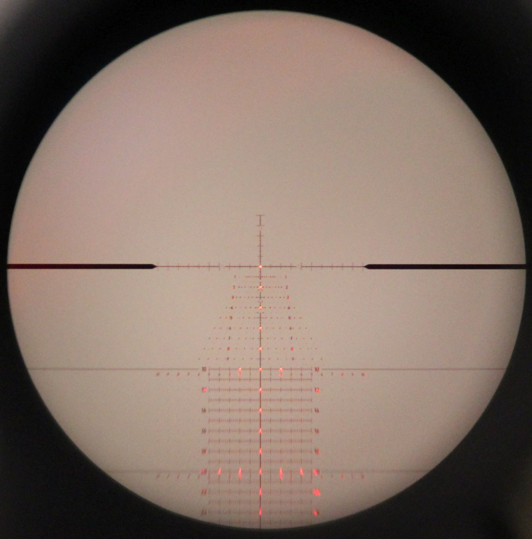 Tremor 2 IMG_1573.jpg
