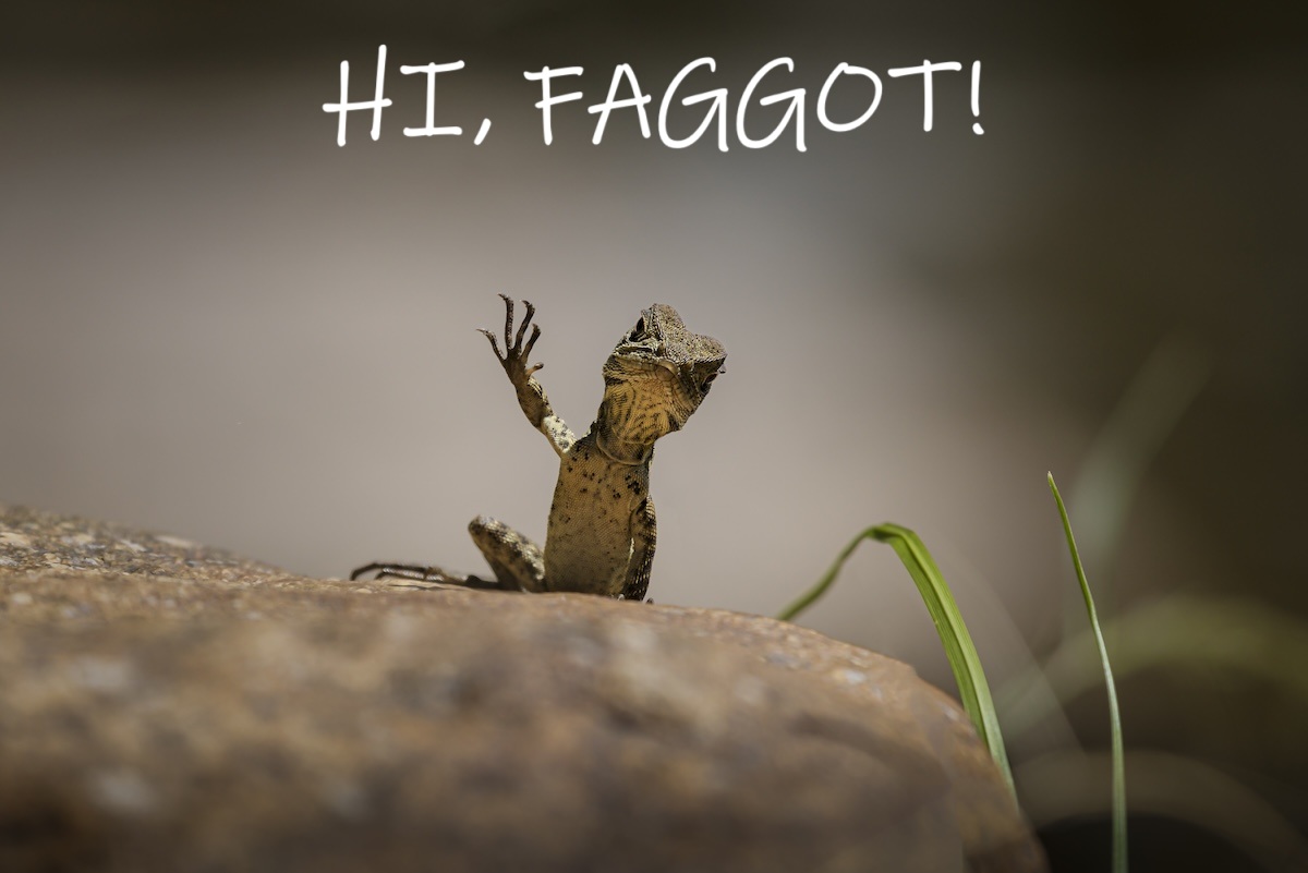 Trevor-Rix_Waving-Dragon.jpg