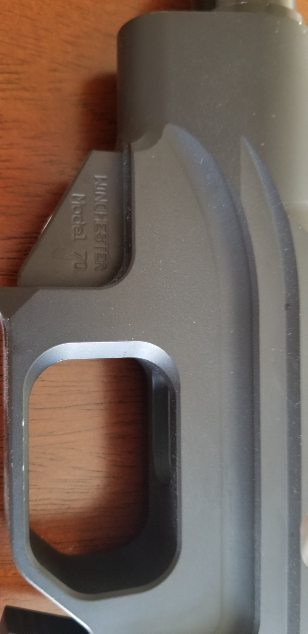 Trigger guard.jpg