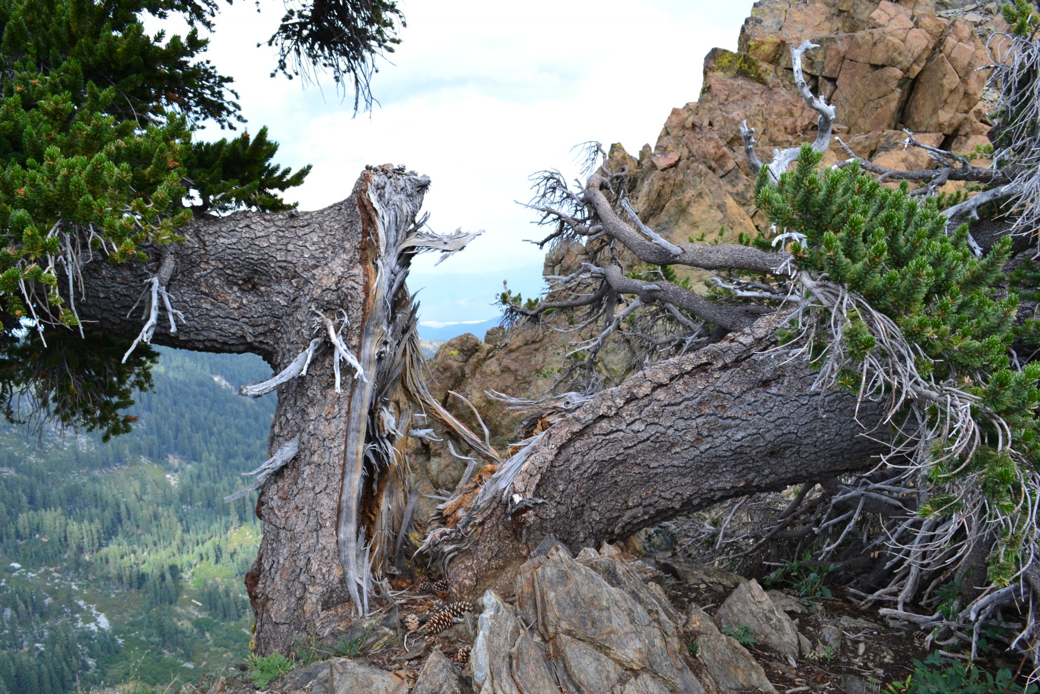 trinity alps (2) 088.JPG