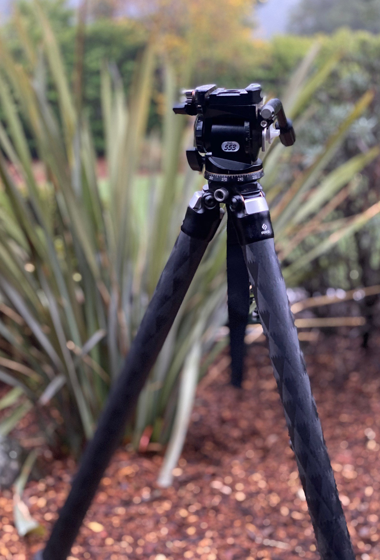 tripod 553a.jpg