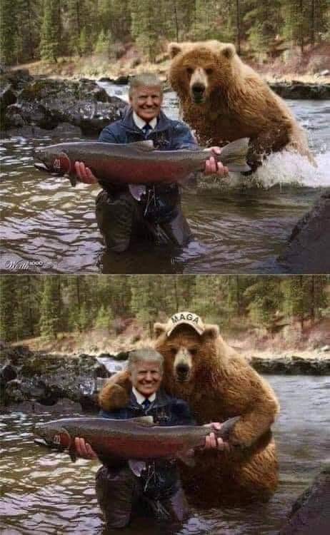 Trump MAGA.jpg