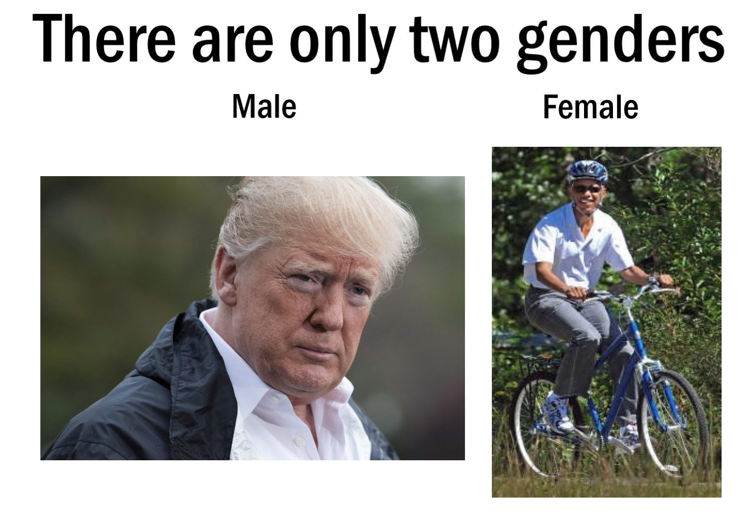 Trump_1.png