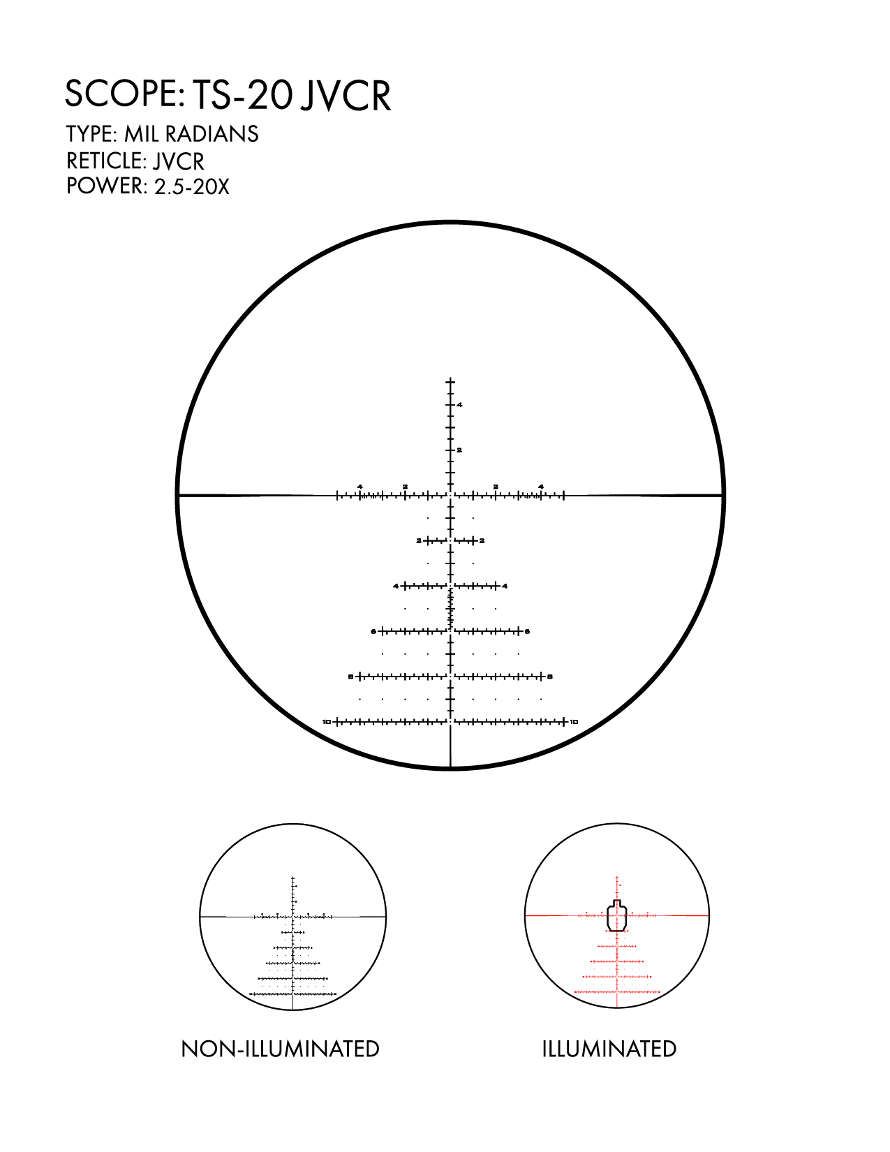 TS-20X-JVCR.jpg