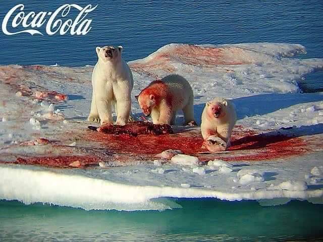 tumblr_1894378caaa20311ebfb9bad11825e63_7dd5e8cb_640.jpg