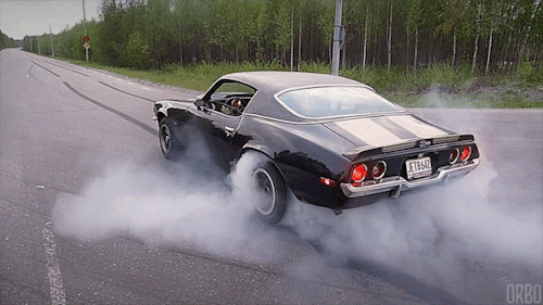 tumblr_88859ec322cfa70e158162061c3f9f02_74b491c1_500.gif