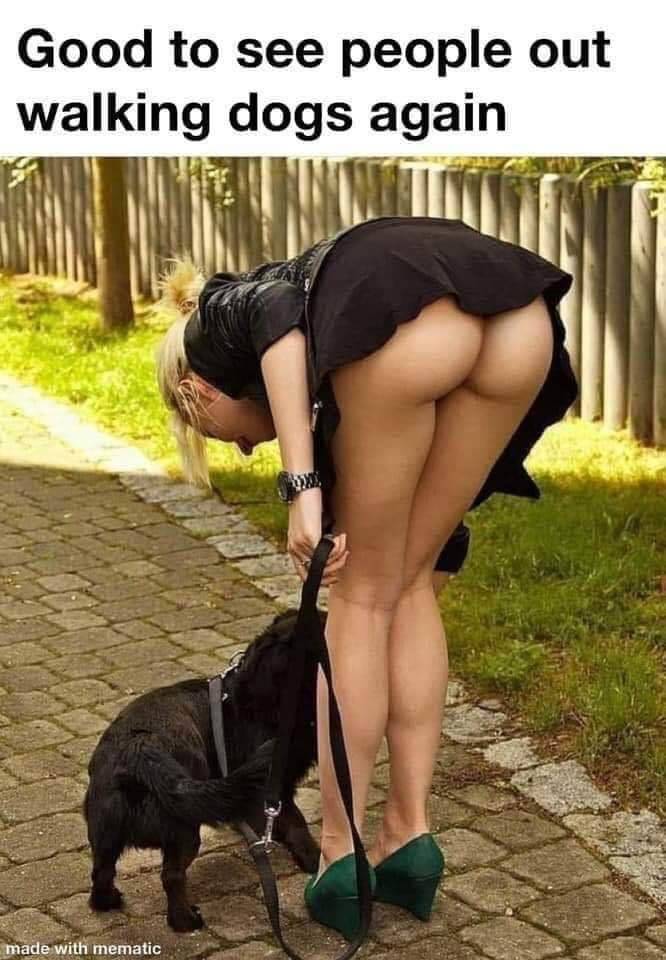 tumblr_d133eed1c032b22261e6eee69f61260f_33b901ec_1280.jpg