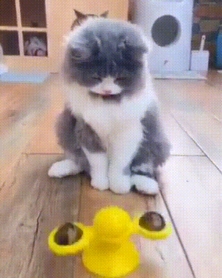 tumblr_f858a830f7dd2921cc11c413e153d8a3_4ea9397f_400.gif