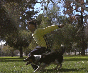 tumblr_n5hfcrGniz1s7rn89o1_400.gif