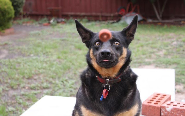 tumblr_nk1556r4Yb1rlkwlvo1_1280.jpg