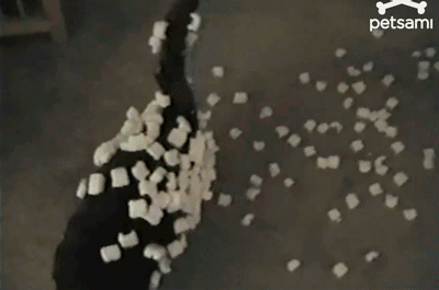 tumblr_nm3jjgLEEp1re26bro1_400.gif