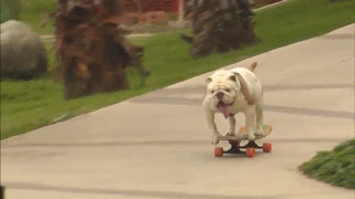 tumblr_o1d2weOZ3i1v5vbqvo1_400.gif