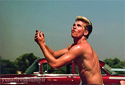 tumblr_oasfvyzoUV1tcpjbho4_250.gif