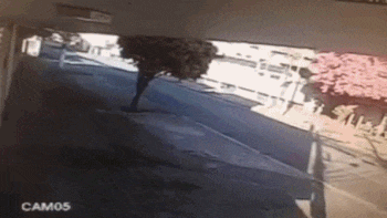 tumblr_oc6rzkTcKB1s7km96o1_400.gif