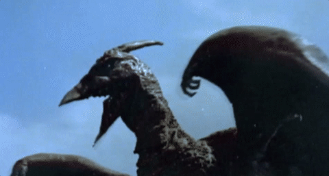 tumblr_omysb63zzx1twzku7o3_500-2604140618.gif