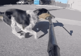 tumblr_on6k1uRKRP1qz5q5oo1_400.gif
