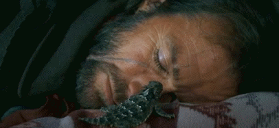 tumblr_ozbn913qlv1ultjoto1_500.gif