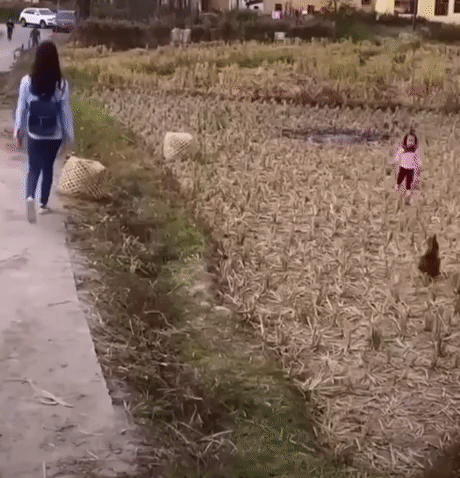 tumblr_pkwu4esY3S1xoyw8po2_500.gif
