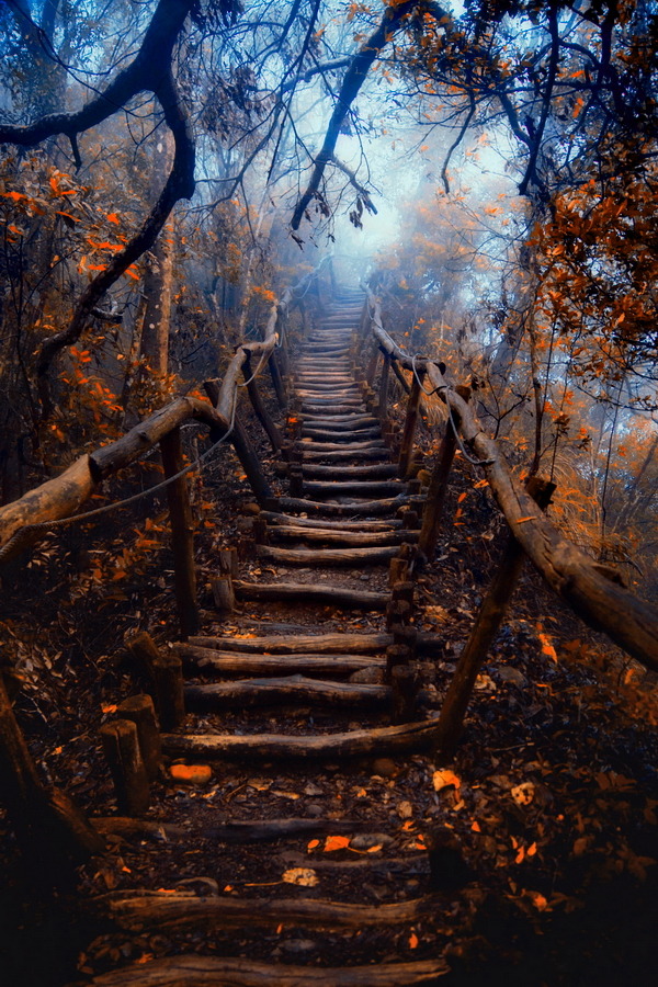 tumblr_puawprlx431we4a79o1_640.jpg