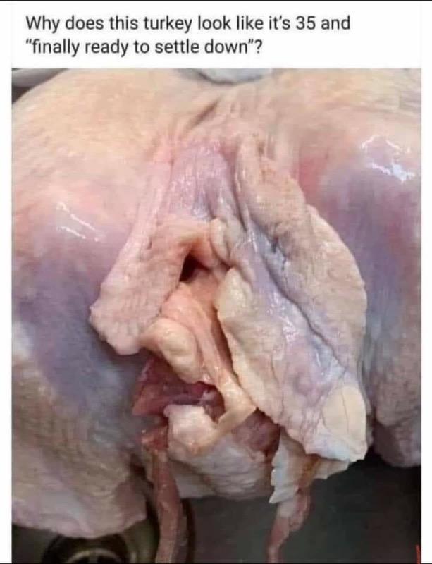 Turkey.jpg