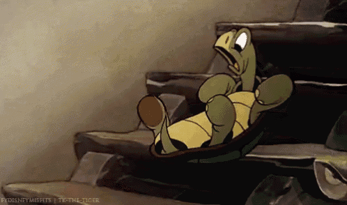 turtle-fall.gif