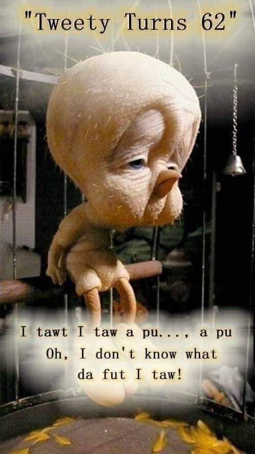 tweety.jpg