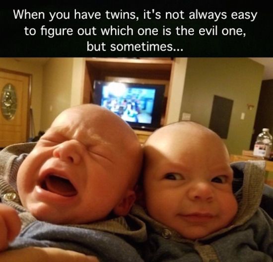 twins.jpg