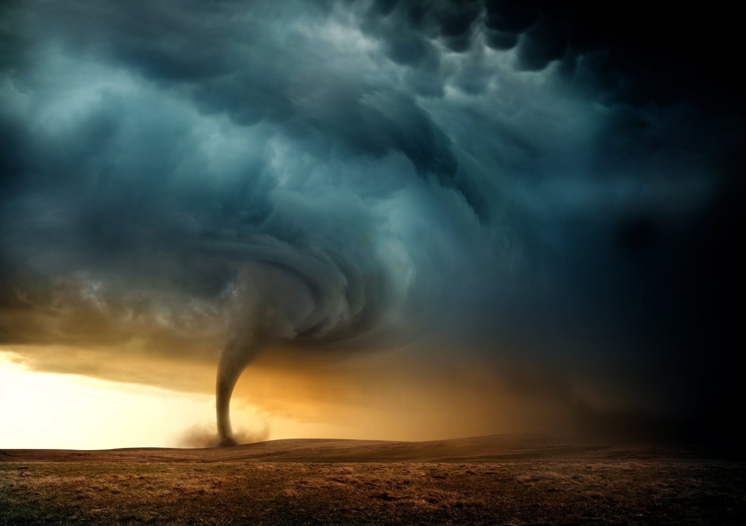 twister.jpeg