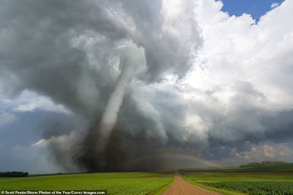 twister.jpeg