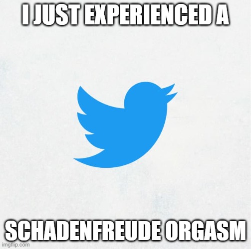 TWITTERBIRD2.jpg