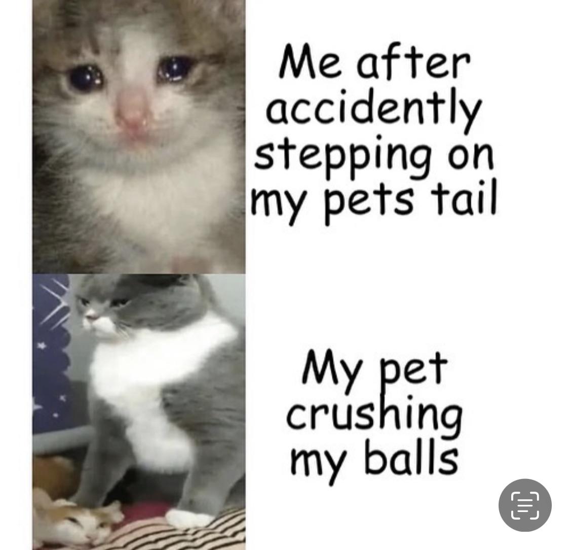 txbw8jakw1oa1.jpeg