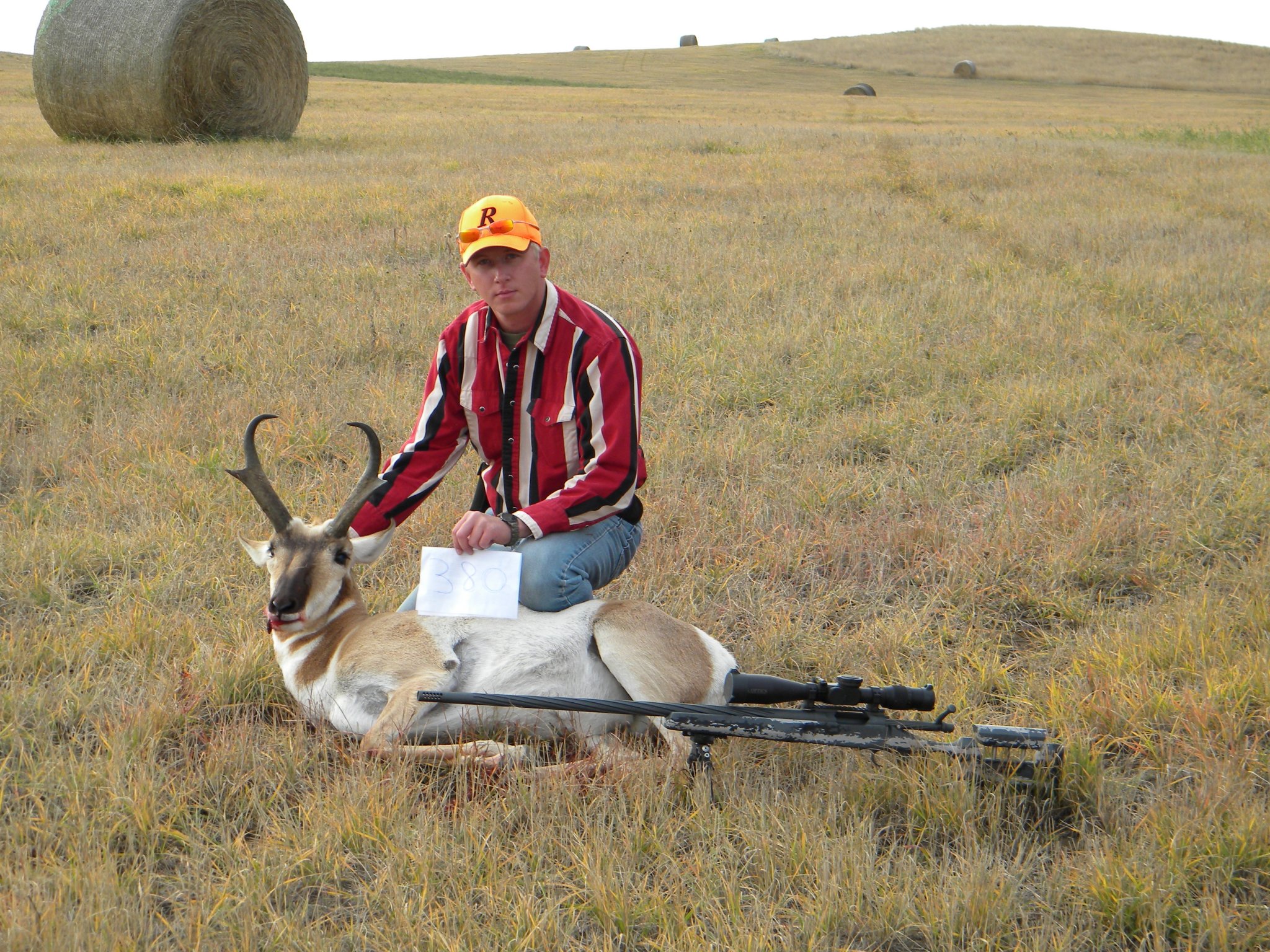 Tyler D. 2013 Goat (2).JPG