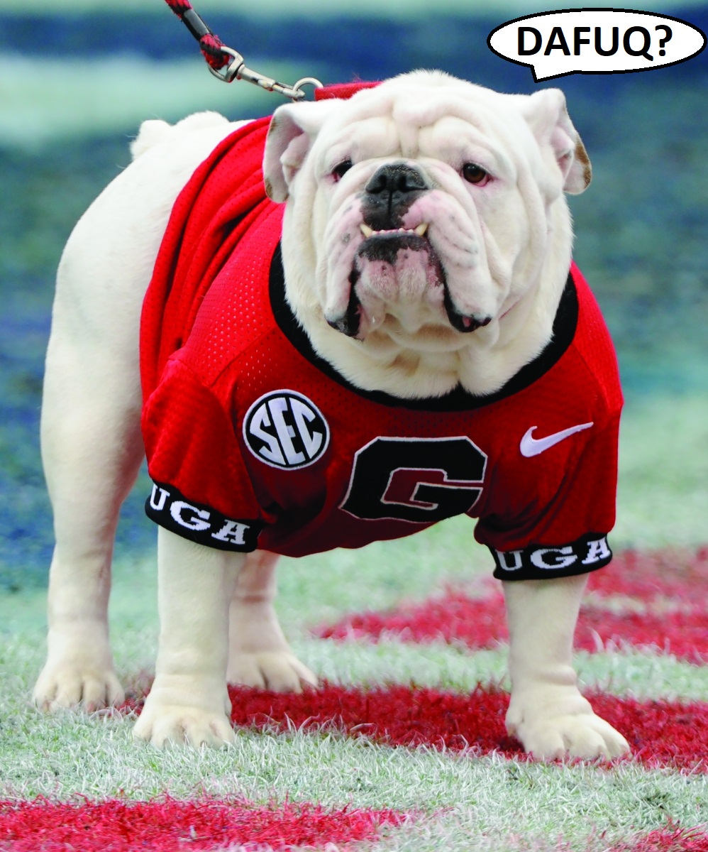 uga.jpg