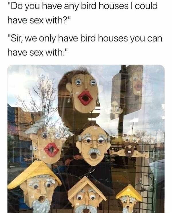 UIhPZfqv.jpg