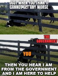 Unknown.jpeg