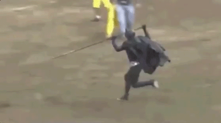 untitled-8-1.gif
