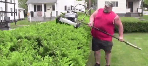 upload_2021-5-23_19-18-36.gif