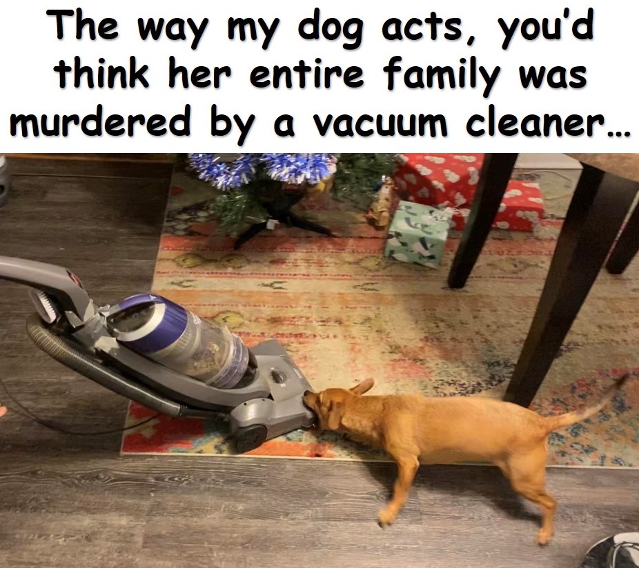 Vacuum cleaner.jpg
