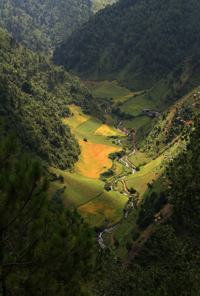 valley.jpg