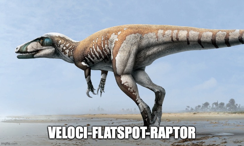 velociflatsot.jpg