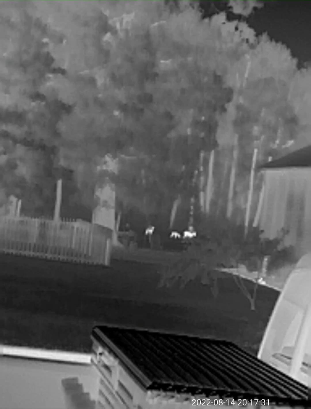 VideoCapture_20220815-080506.jpg