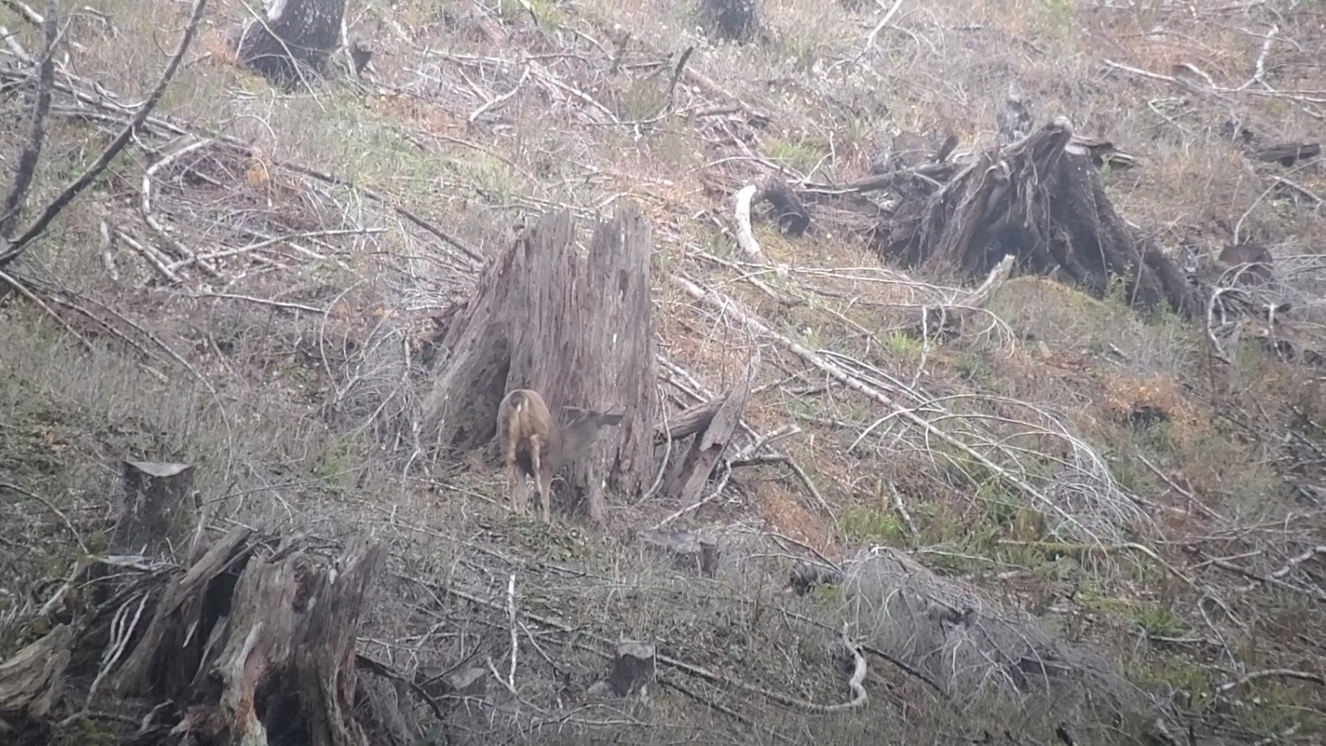 VideoCapture_20231114-134524.jpg