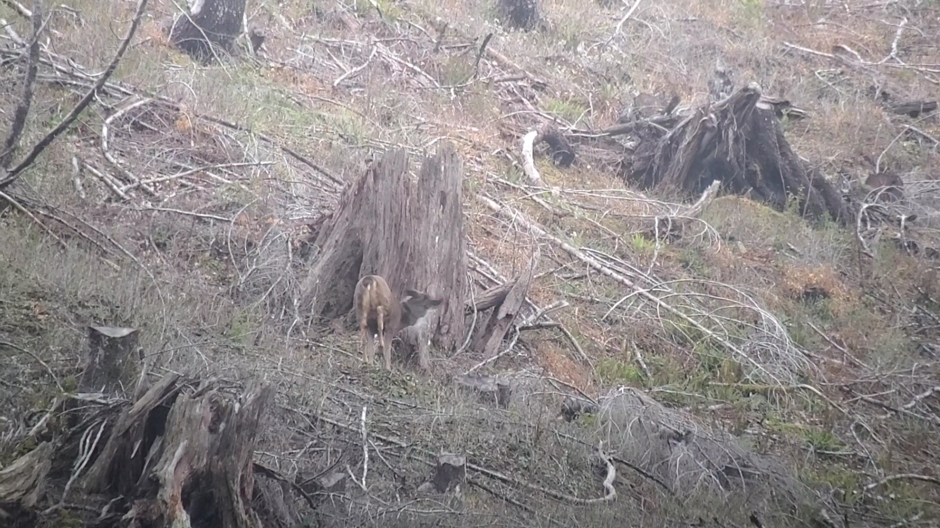 VideoCapture_20231114-134533.jpg
