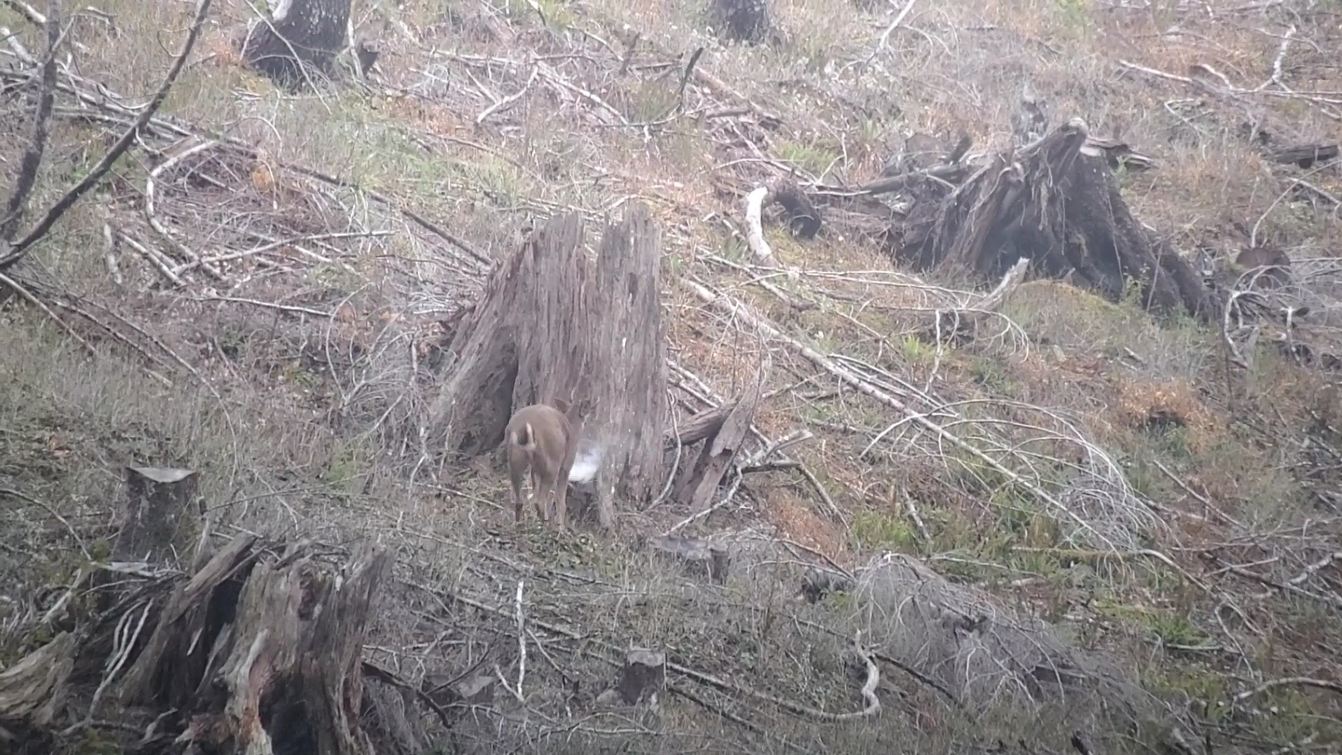 VideoCapture_20231114-134611.jpg