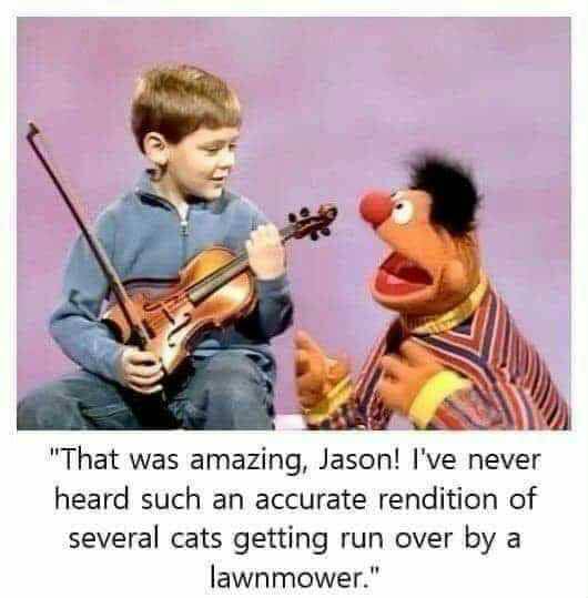violin.jpeg