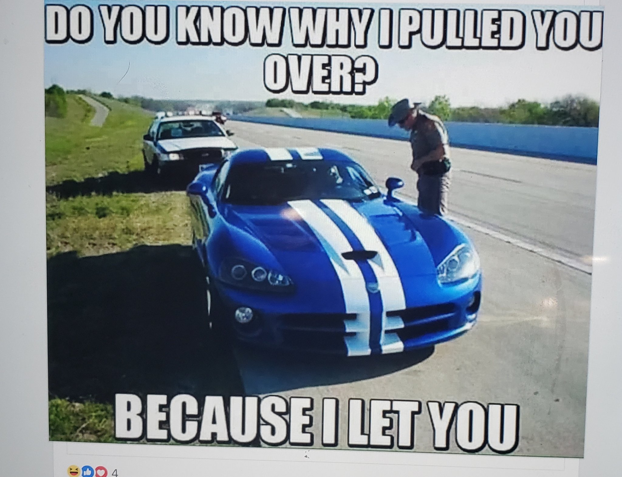 Viper.jpg