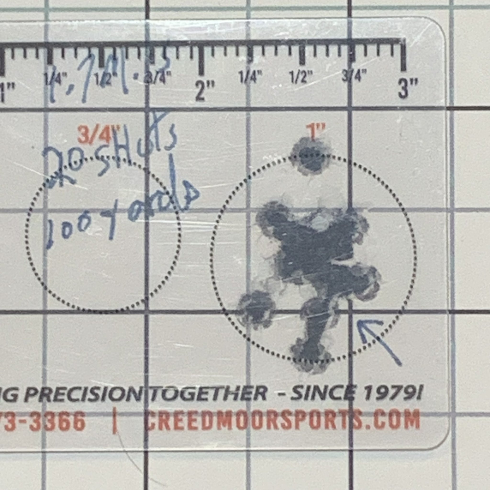Vudoo Lapua Midas 100 Yards (5).jpg