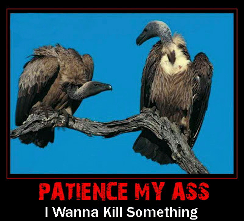 vultures-patience-my-ass A.JPG