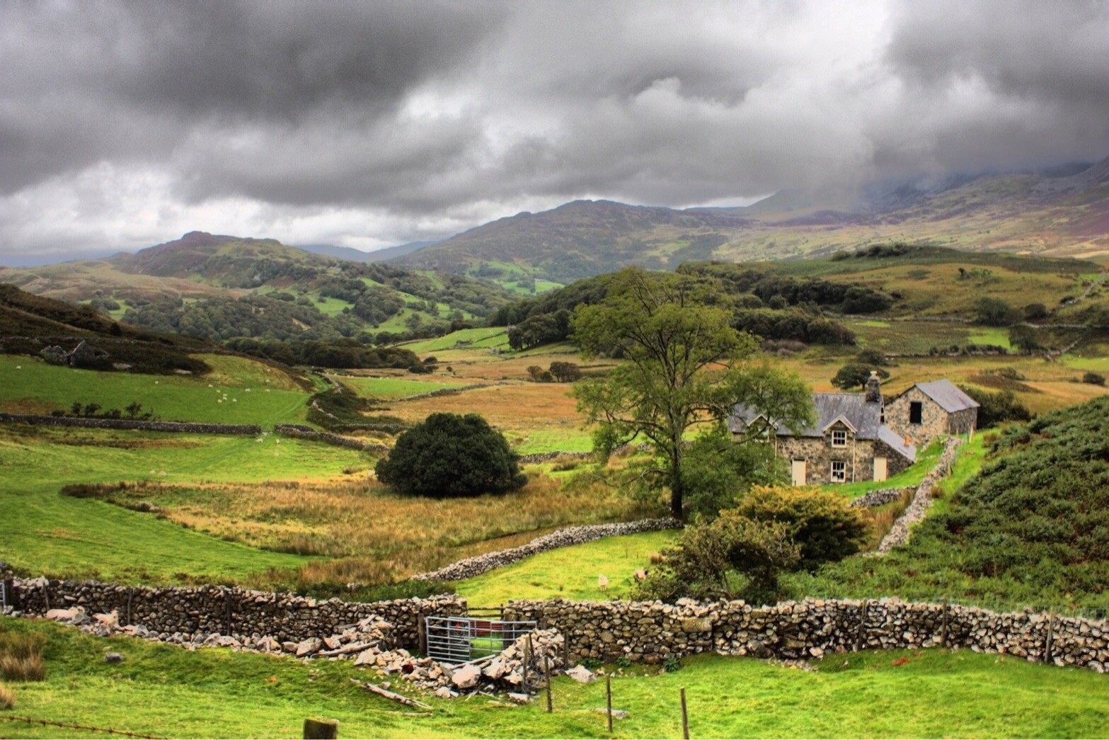 wales.jpg